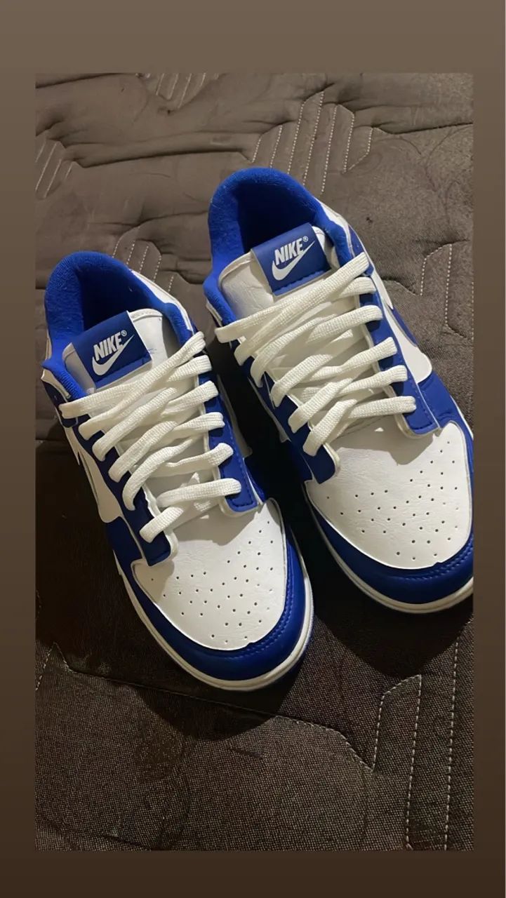 Nike Dunk Low Retro - Azul e Branco