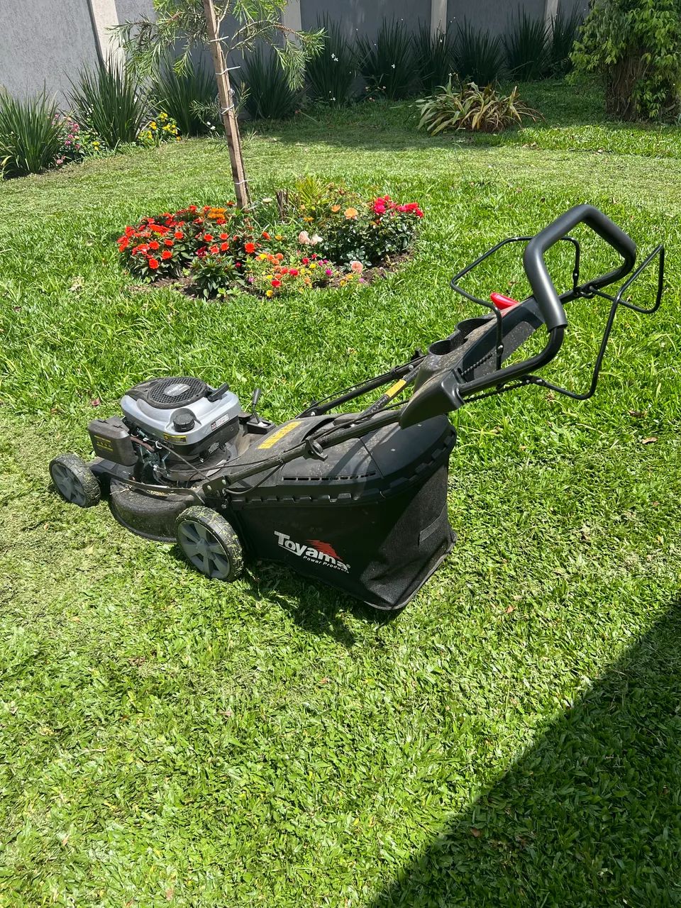 Cortador de grama toyama a gasolina com tração nas rodas