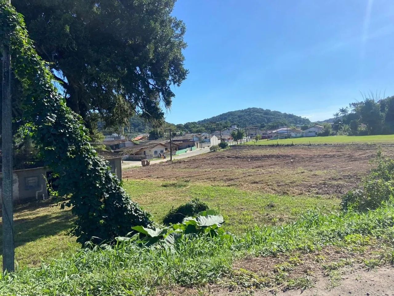 Foto - São Francisco do Sul - 