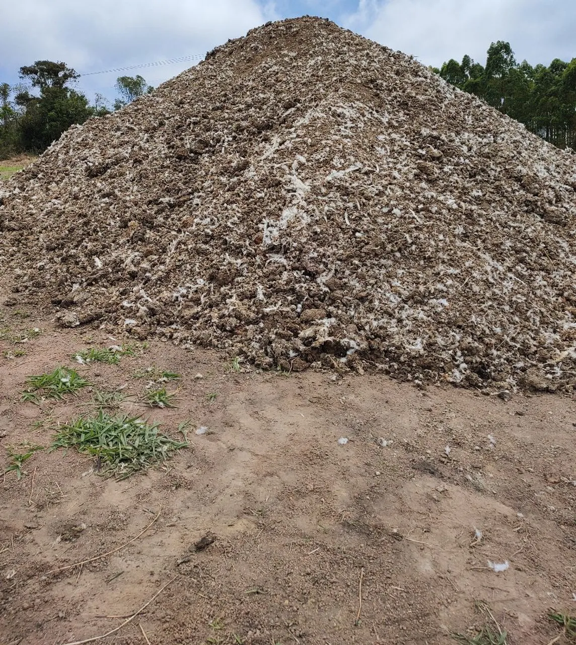 Esterco de galinha e composto orgânico, Montanha de cama de aviário para agrícola.