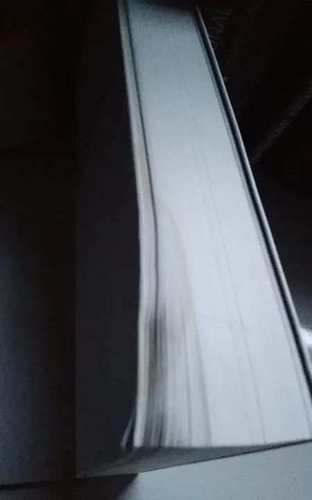 Manual de Direito Administrativo - 2ª edição - Foto 2