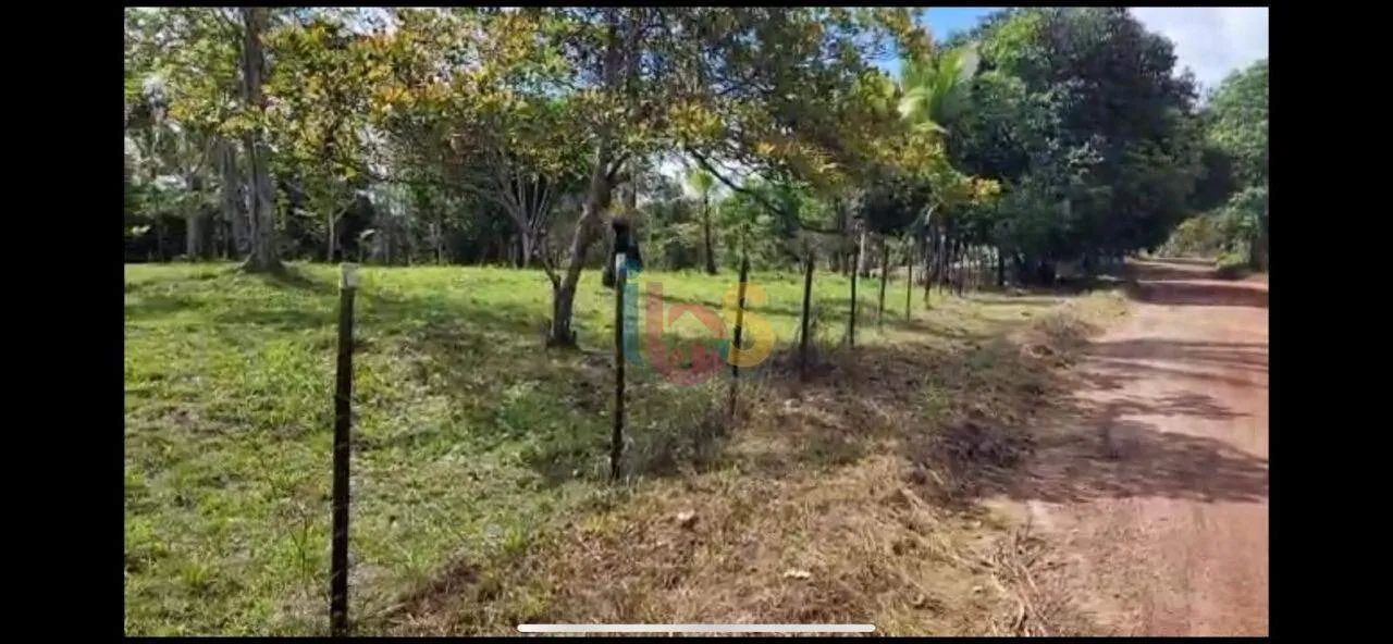 Vendo Excelente Área na Tibina - Foto 2