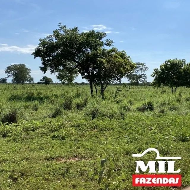 1080 Alq. (5.228 HÁ)  Cocalinho -MT - Foto 5