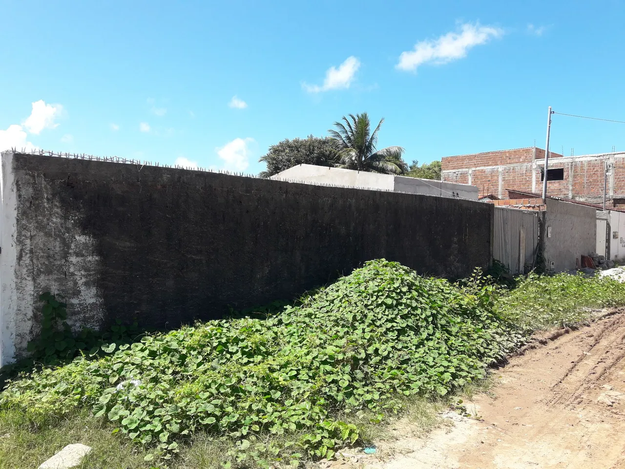 Terreno jacaré 1.200m²