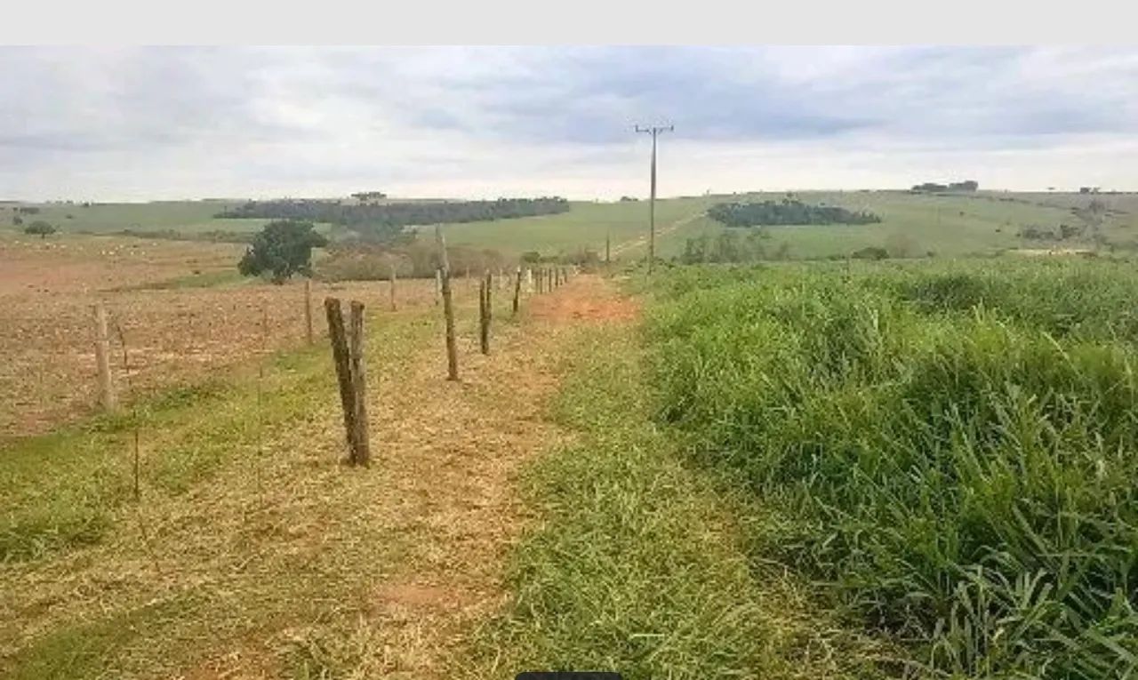 Sítio de 5 alqueires - A oportunidade que você esperava chegou!! - Foto 2