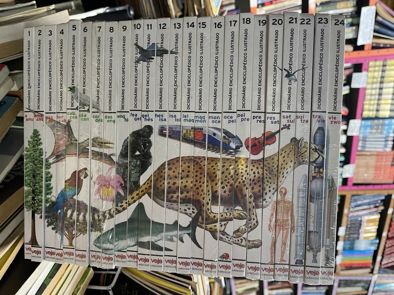 Dicionário enciclopédico ilustrado veja Larousse 24 volumes completa