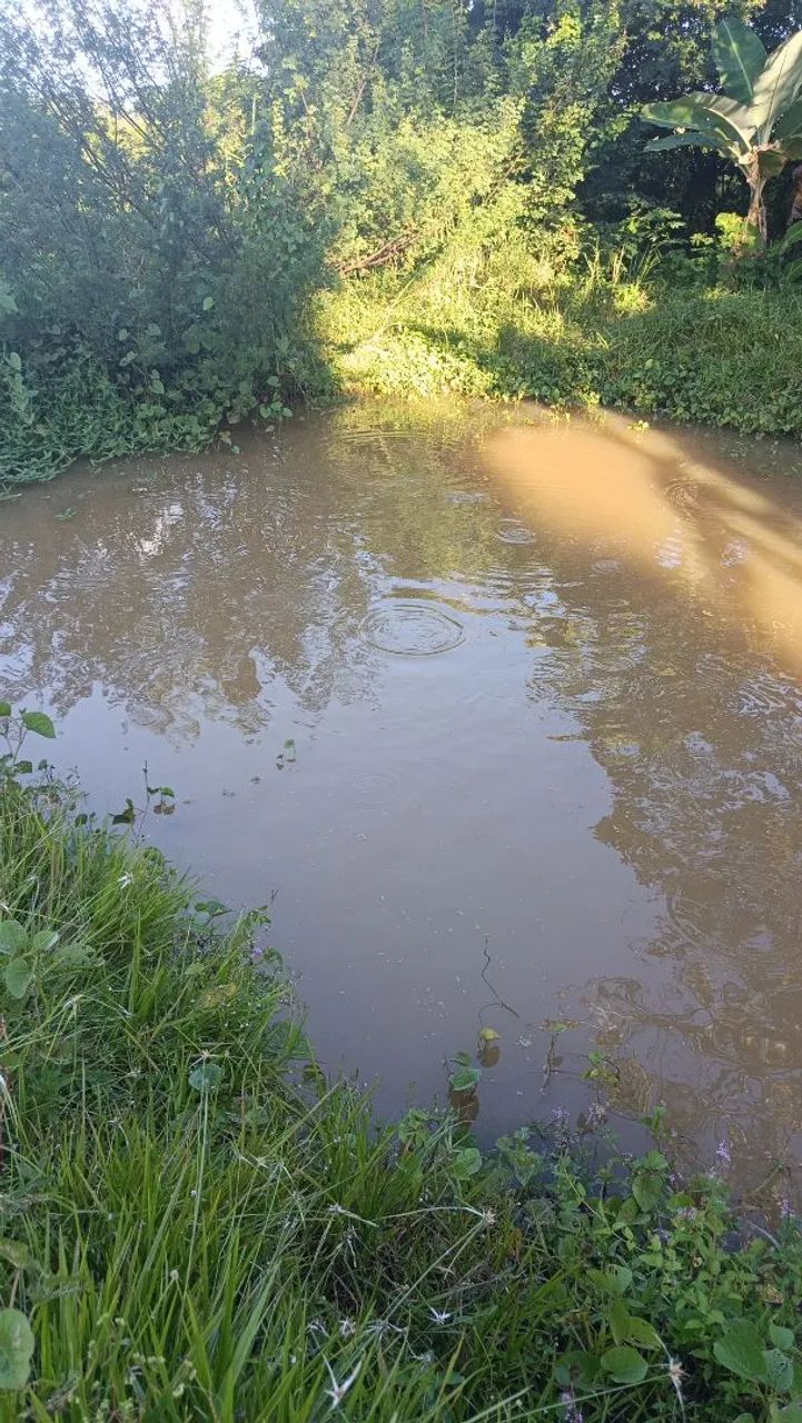 Foto - Nossa Senhora do Socorro - Marcos Freire II