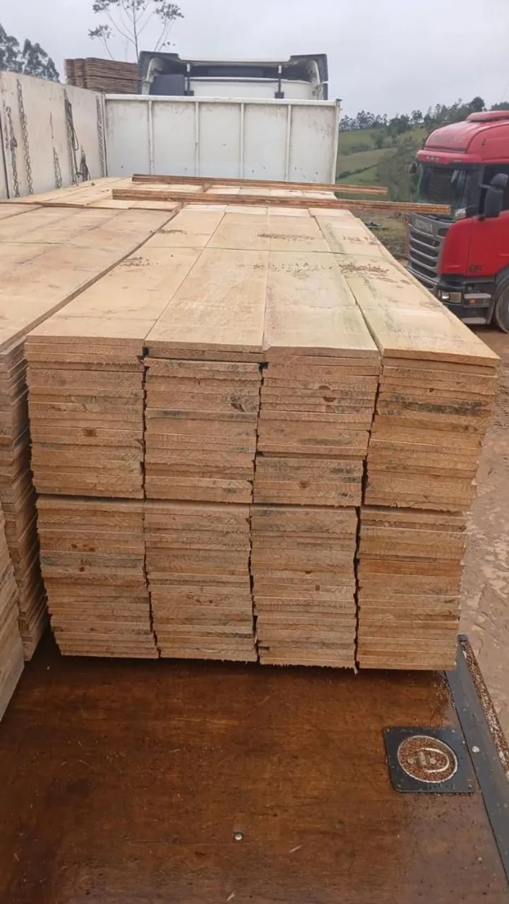 Tabua Pinus 30