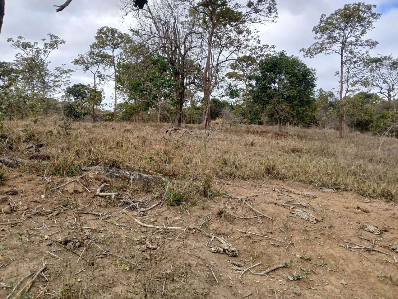 Chacara - Foto 2