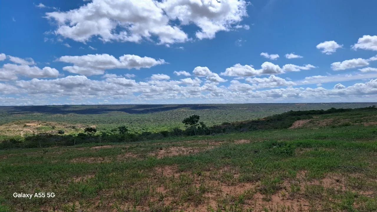 Fazenda a venda  - Foto 3