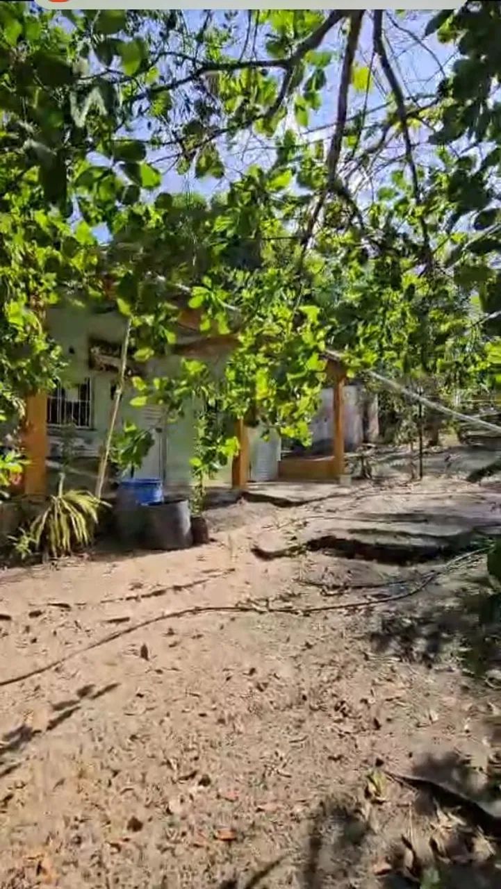 Sítio com uma casa e três kitinetes 