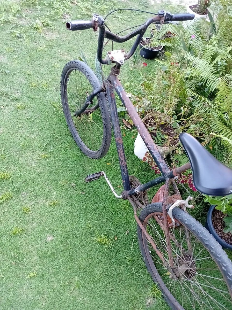 Bicicleta  - Foto 4