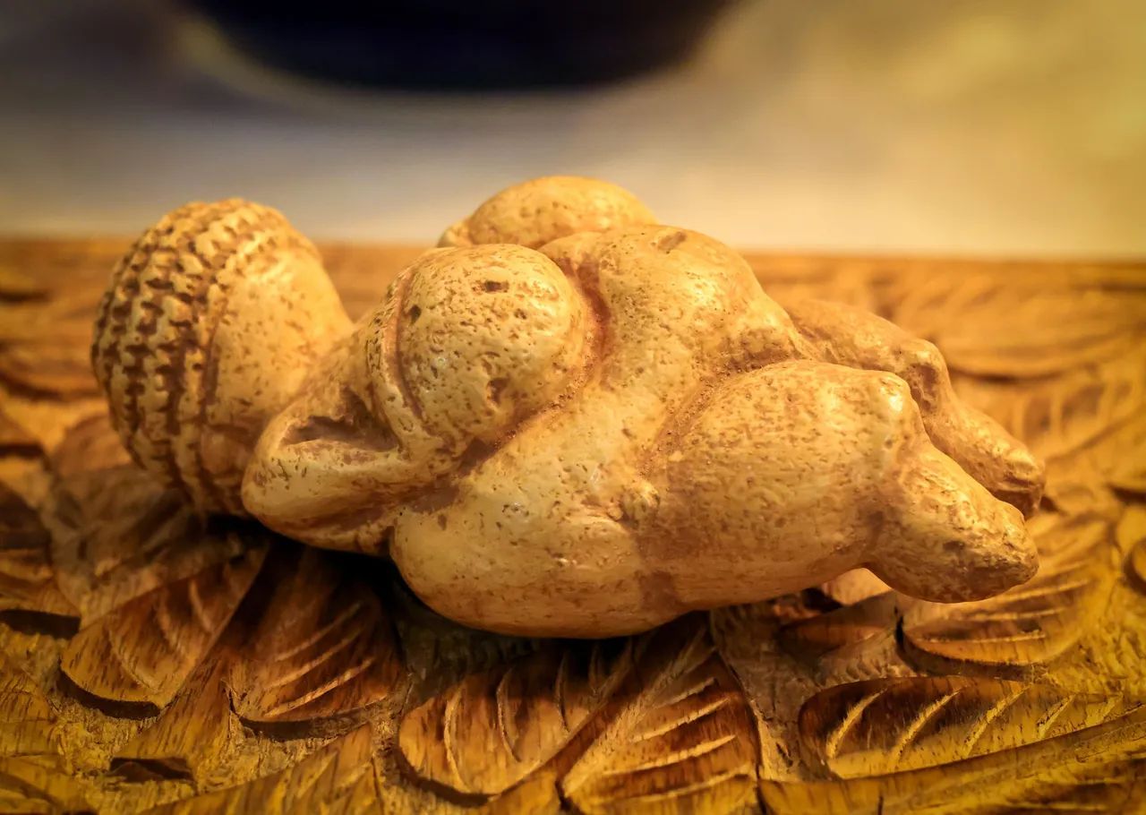 Vênus de Willendorf - Foto 4