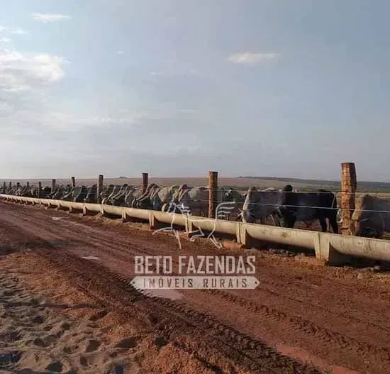 Imóvel para venda com 120000000 metros quadrados - Foto 3
