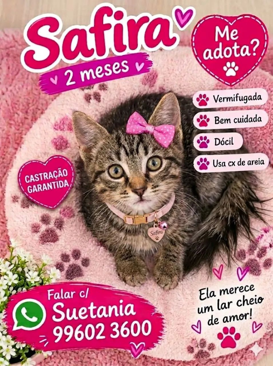 FILHOTES FOFOS