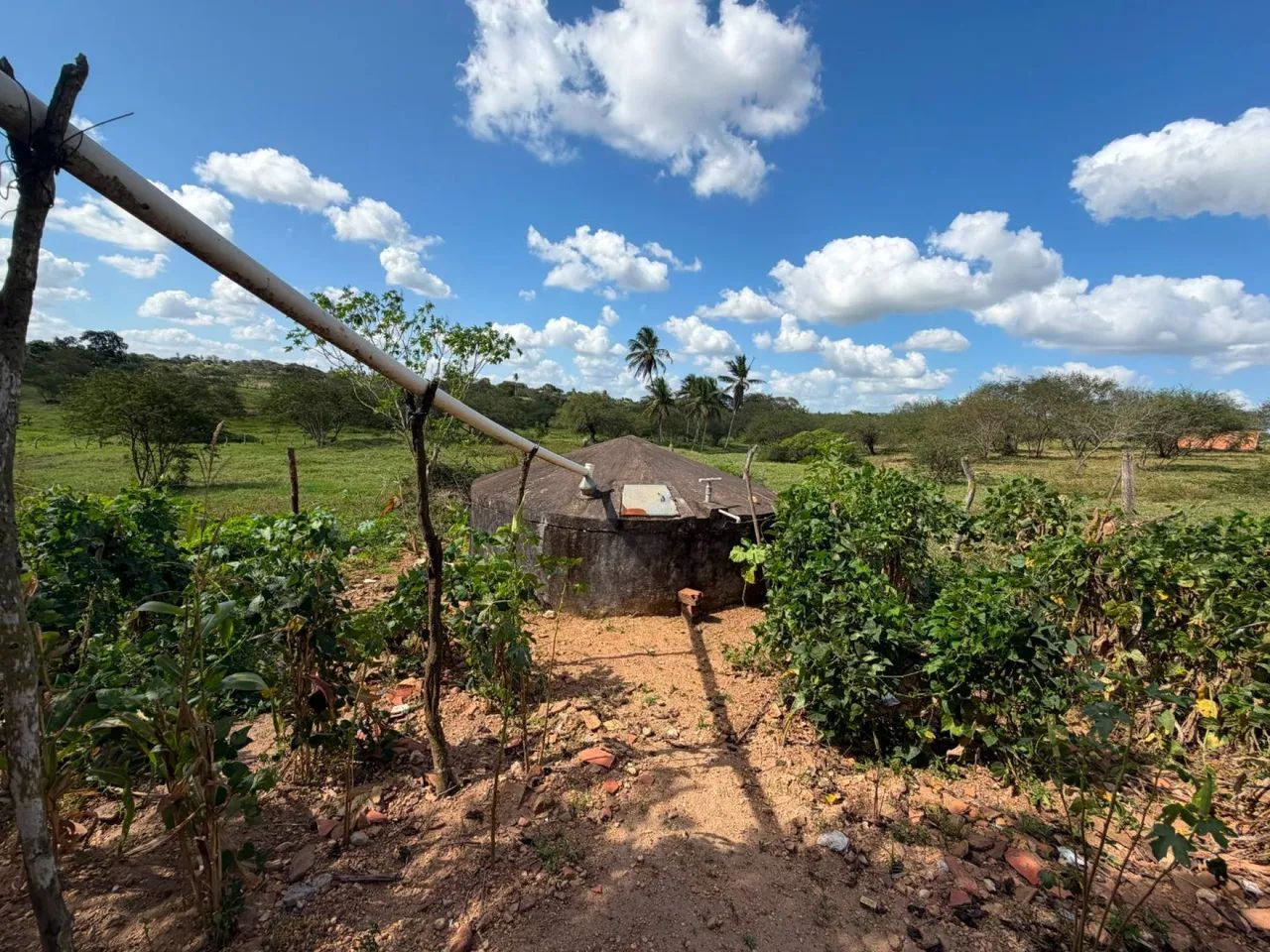 SÍTIO À VENDA  POVOADO CAATINGA REDONDA - Foto 4