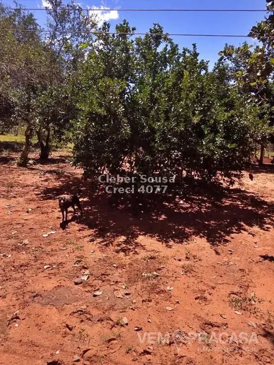 Vendo Chácara 6 Hectares em Corguinho - Foto 5