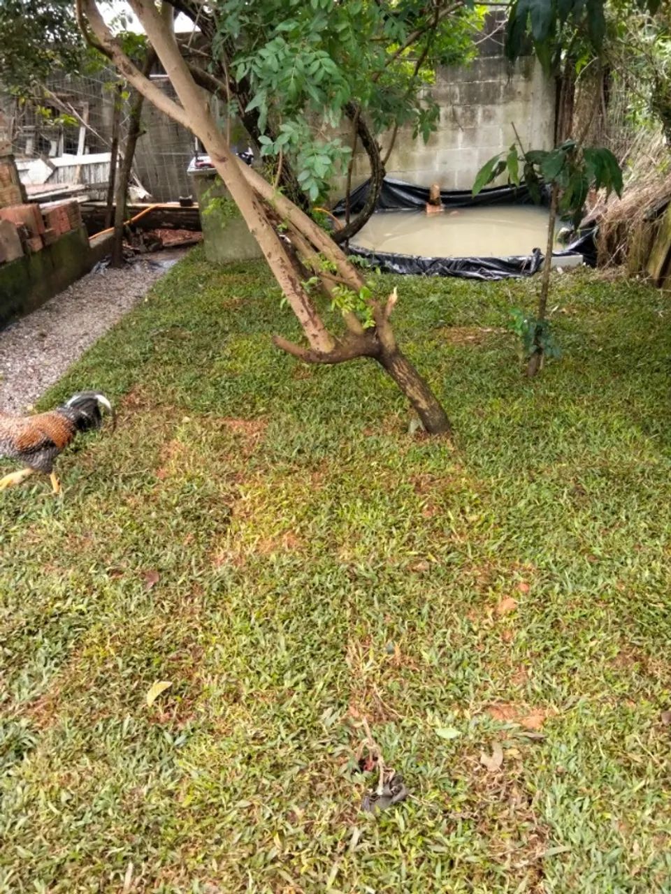 Vendo terreno com casa  - Foto 2