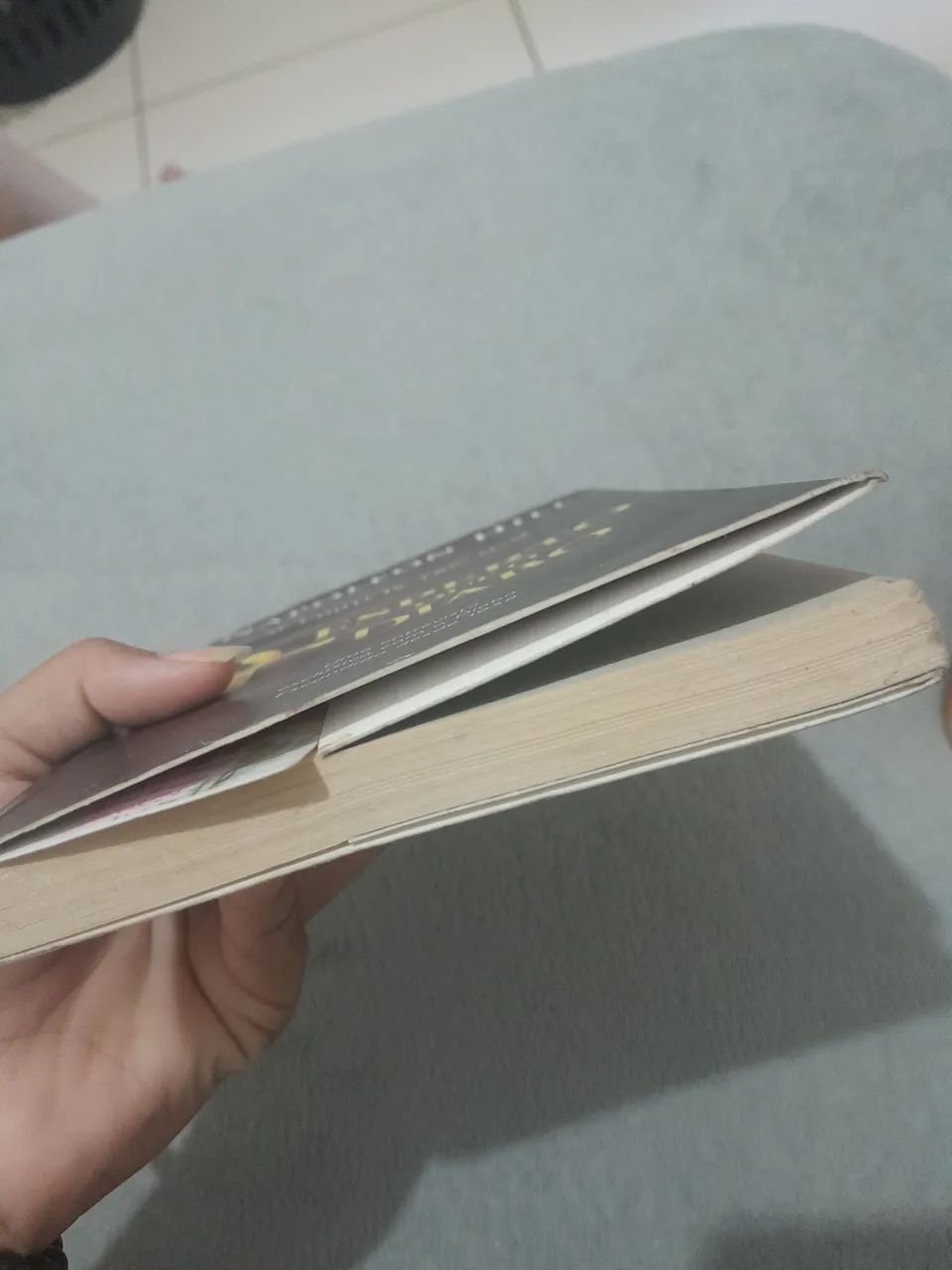 Livro  - Foto 4