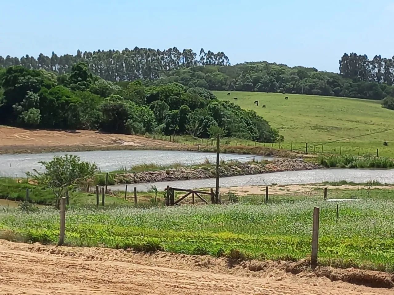 Foto - Viamão - Curral da Macega (Itapuã)