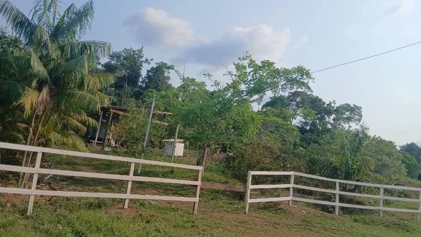 Vendo um sítio com 100x600 - Foto 2