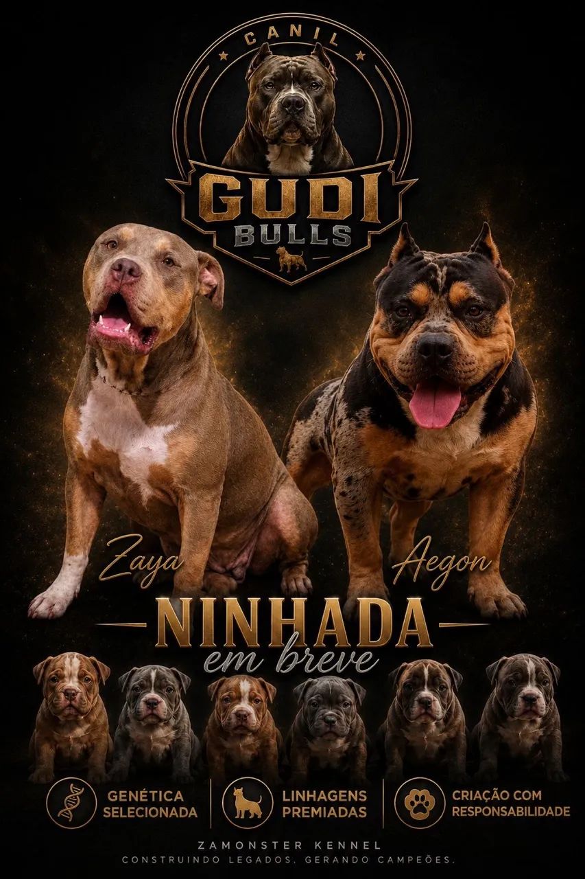 Cachorro - Foto 2