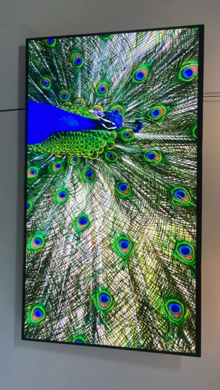TV OLED LG 55 polegadas G-sync 4k - Foto 4