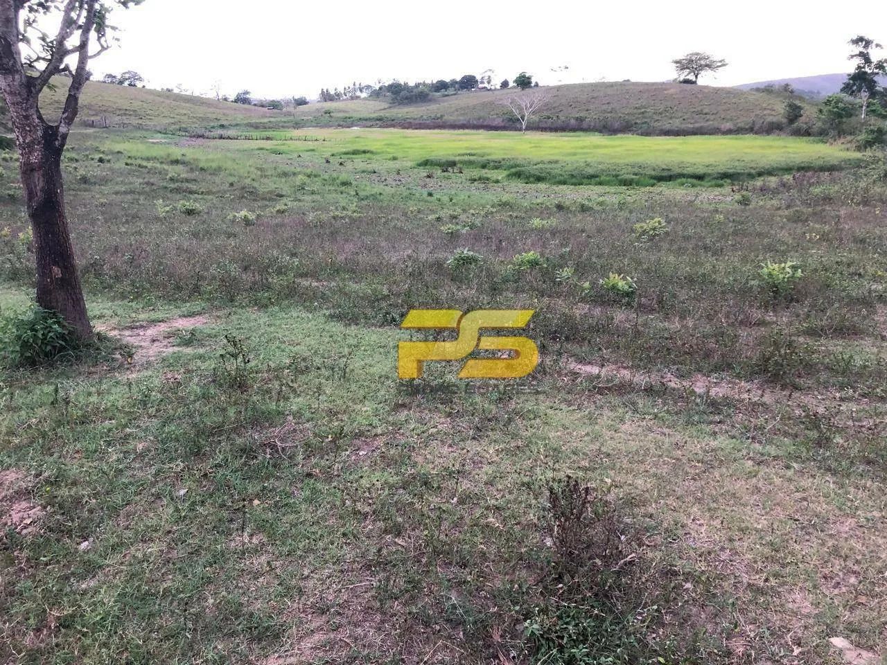 FAZENDA À VENDA  GUARABIRA / CUITEGI  PB - Foto 4