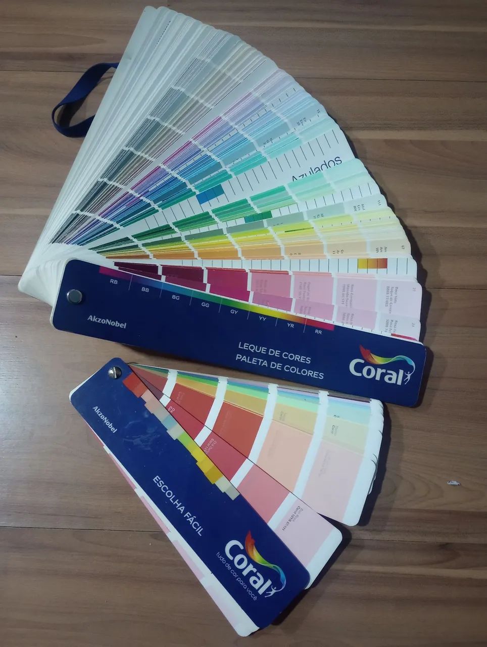 Coral Color Fan + Easy Choice Coral