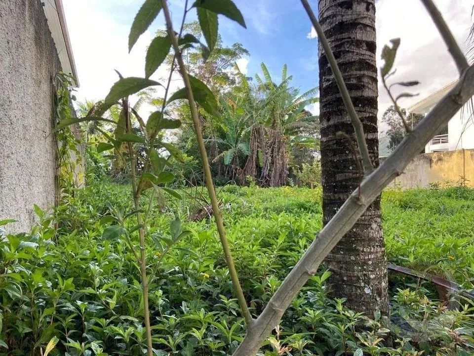 Terreno para Venda em Florianópolis, Santa Mônica - Foto 3