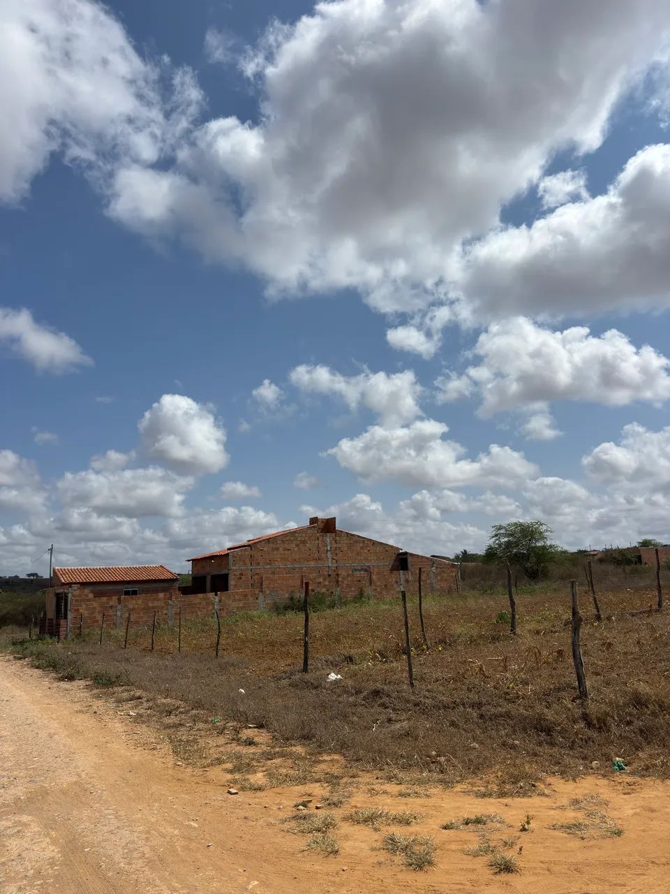 LOTES A PARTIR DE 7x25m 
