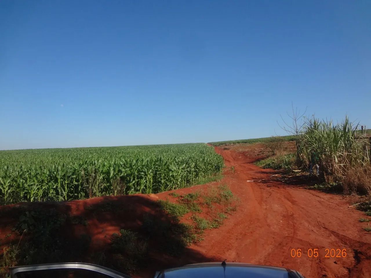 Sitio com 11 alqueires. - Foto 4