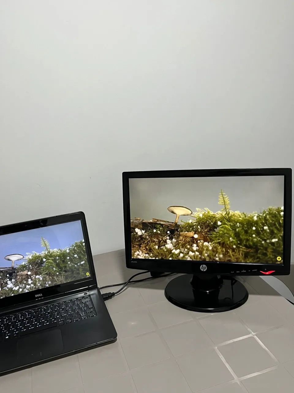 Monitor HP da LG 18,5 Polegadas  - Foto 2