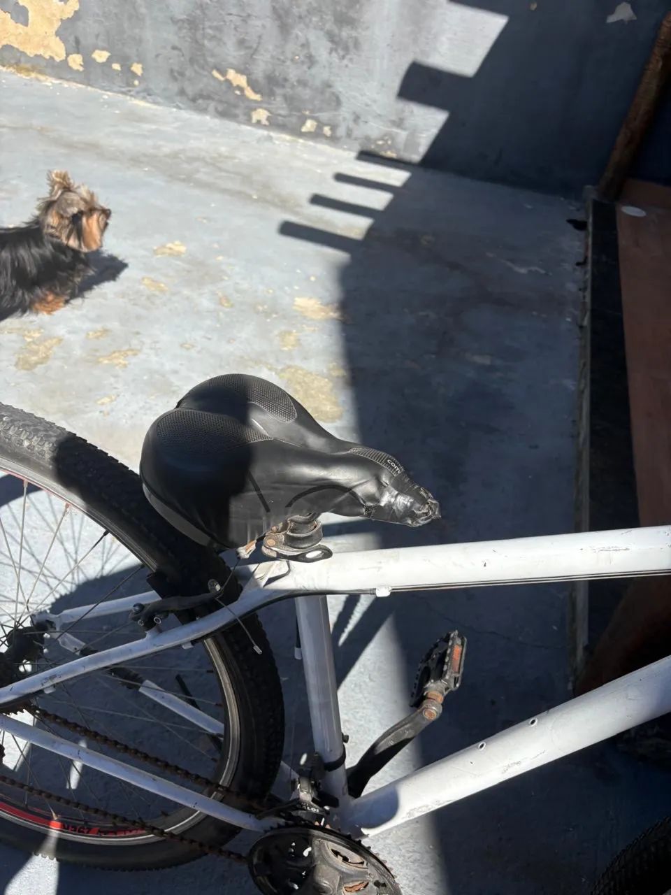 Bike - Foto 3