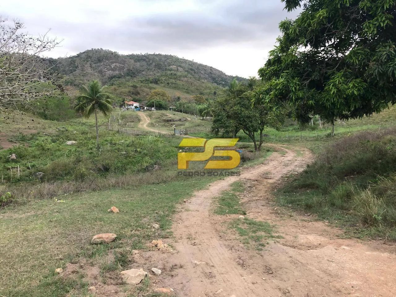 FAZENDA À VENDA  GUARABIRA / CUITEGI  PB - Foto 3