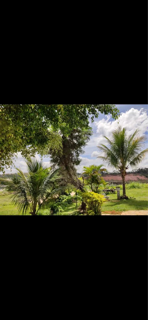 GRANJA ALUGO  - Foto 5