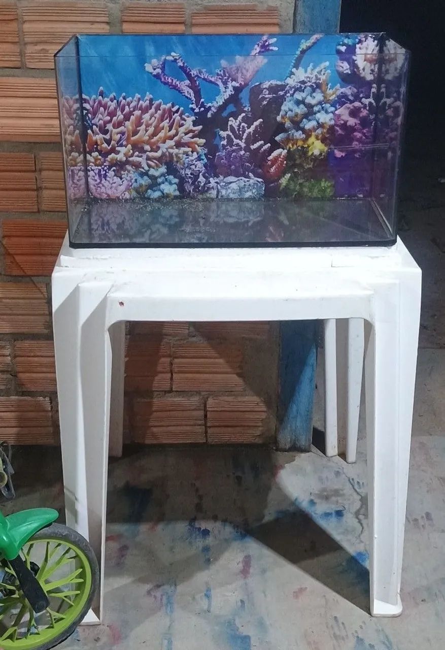 Aquário 