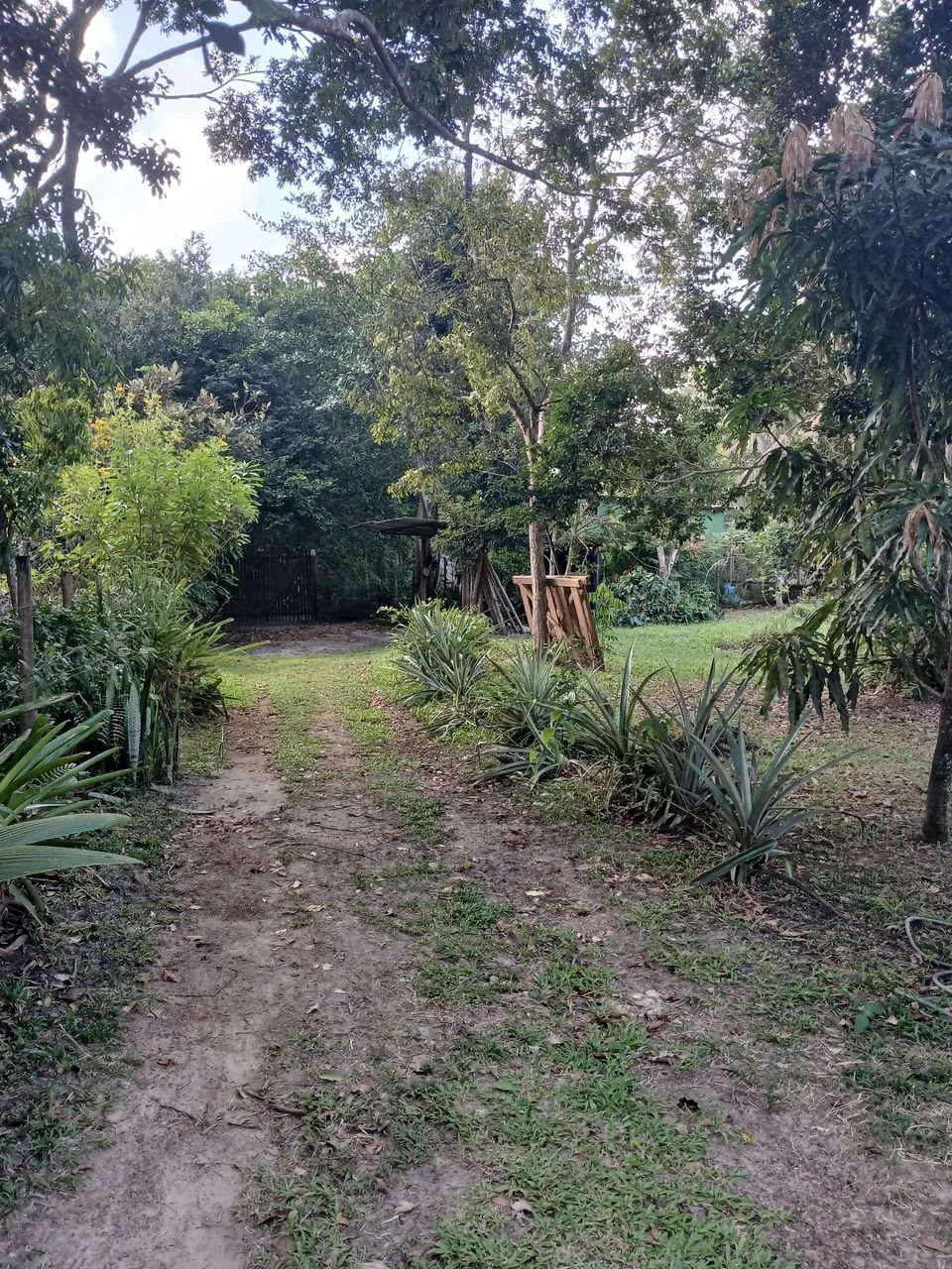 Terreno a venda praia do Sargi