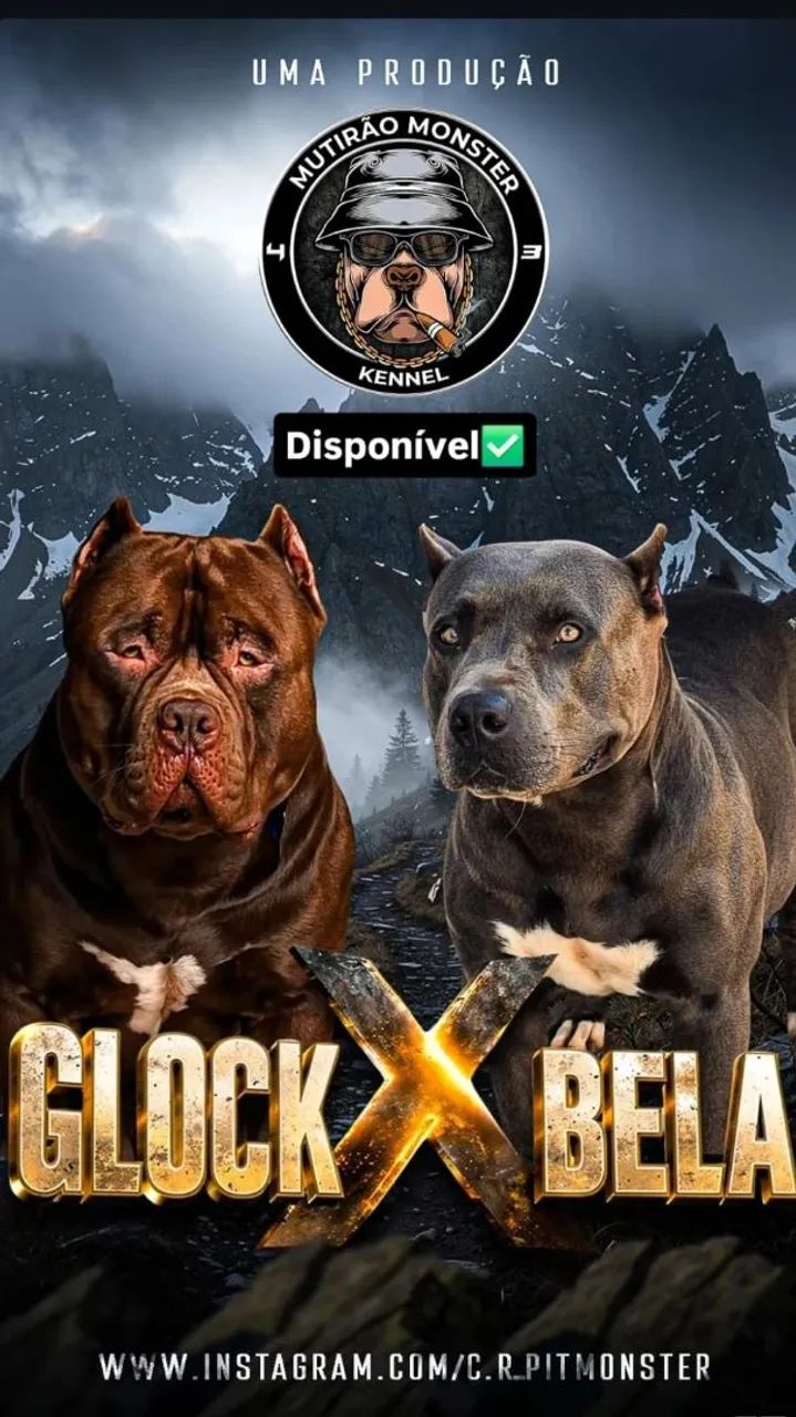 Vendo 2 filhotes pit monster 
