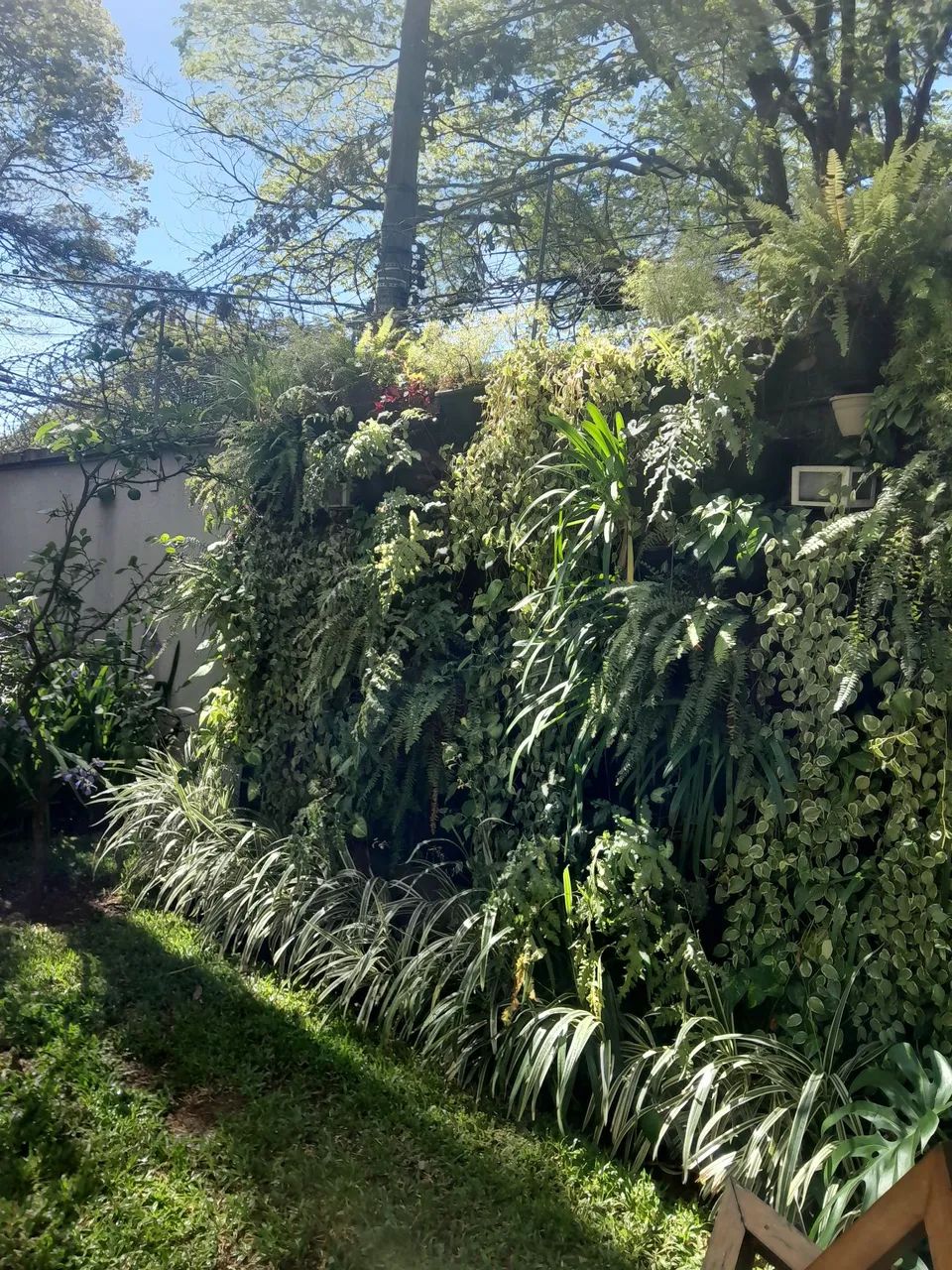 YAMADA paisagismo - Foto 4
