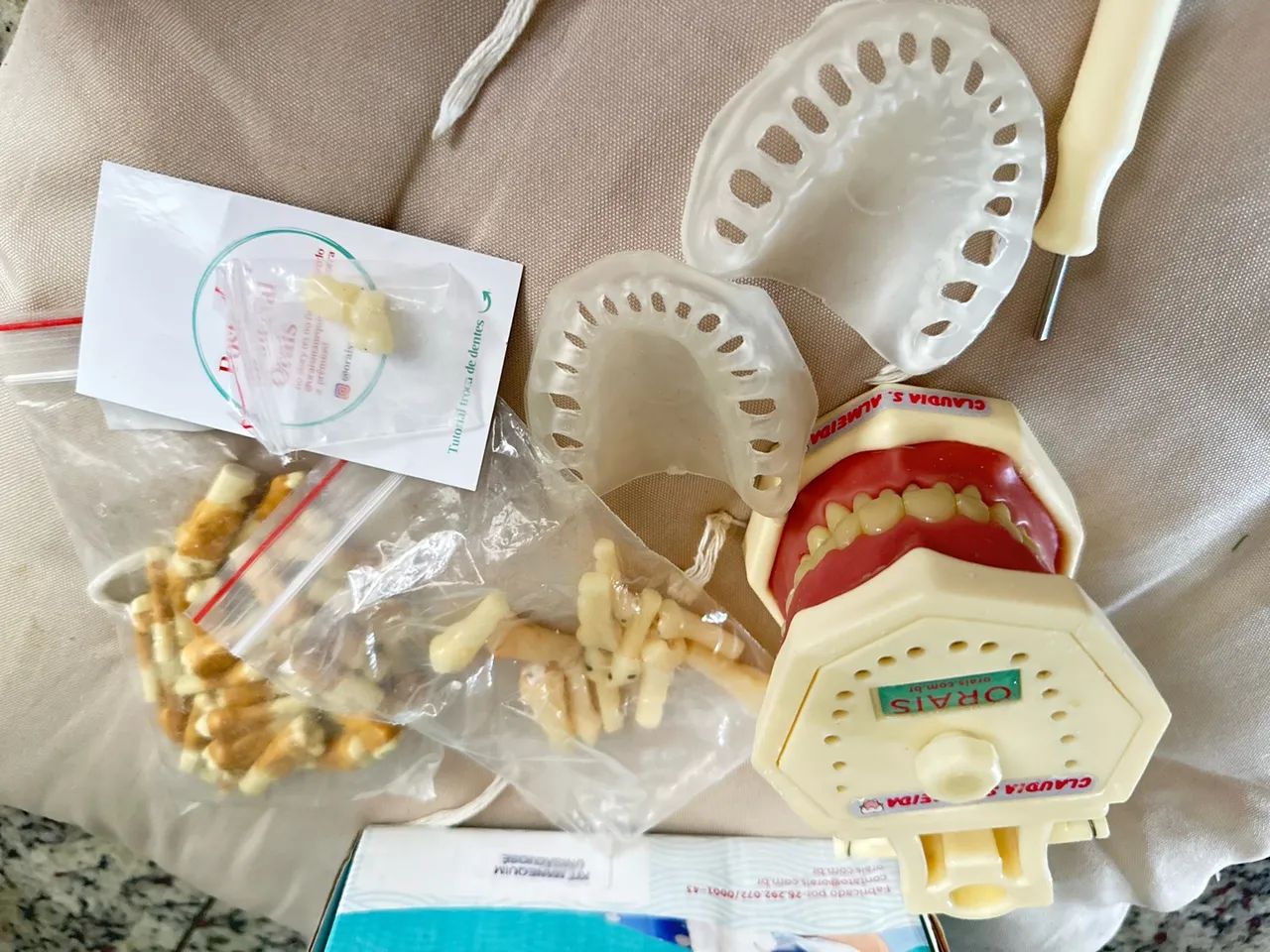 Manequim Odontológicos-Orais - Foto 5