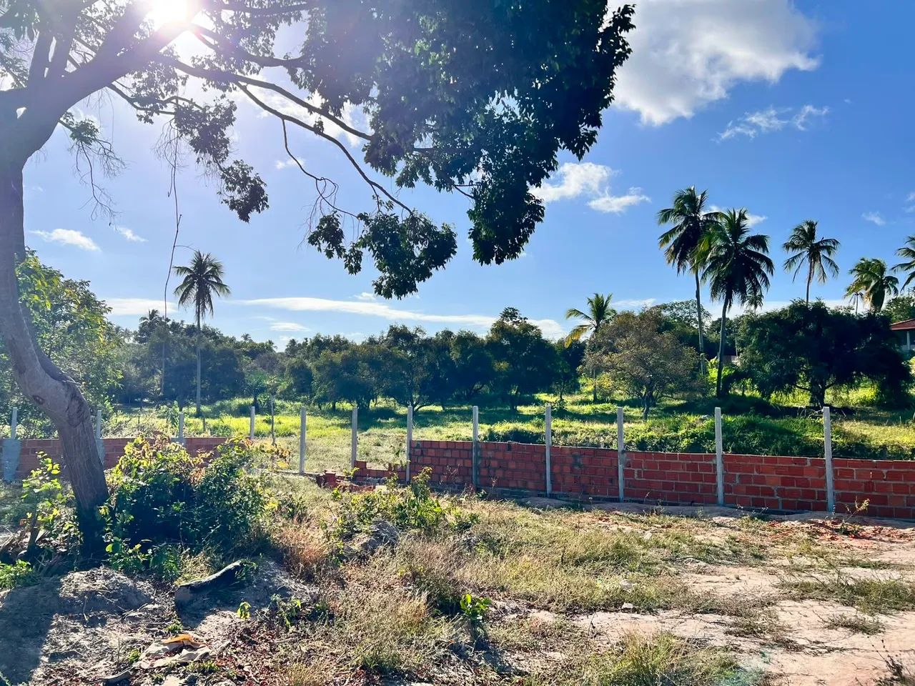 TERRENO EM SANTO AMARO - Foto 3