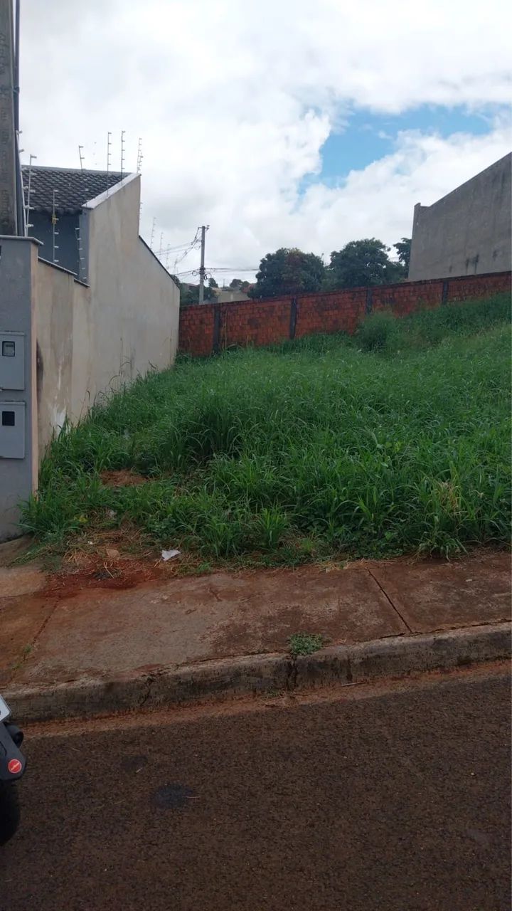 Terreno germinada  - Foto 2