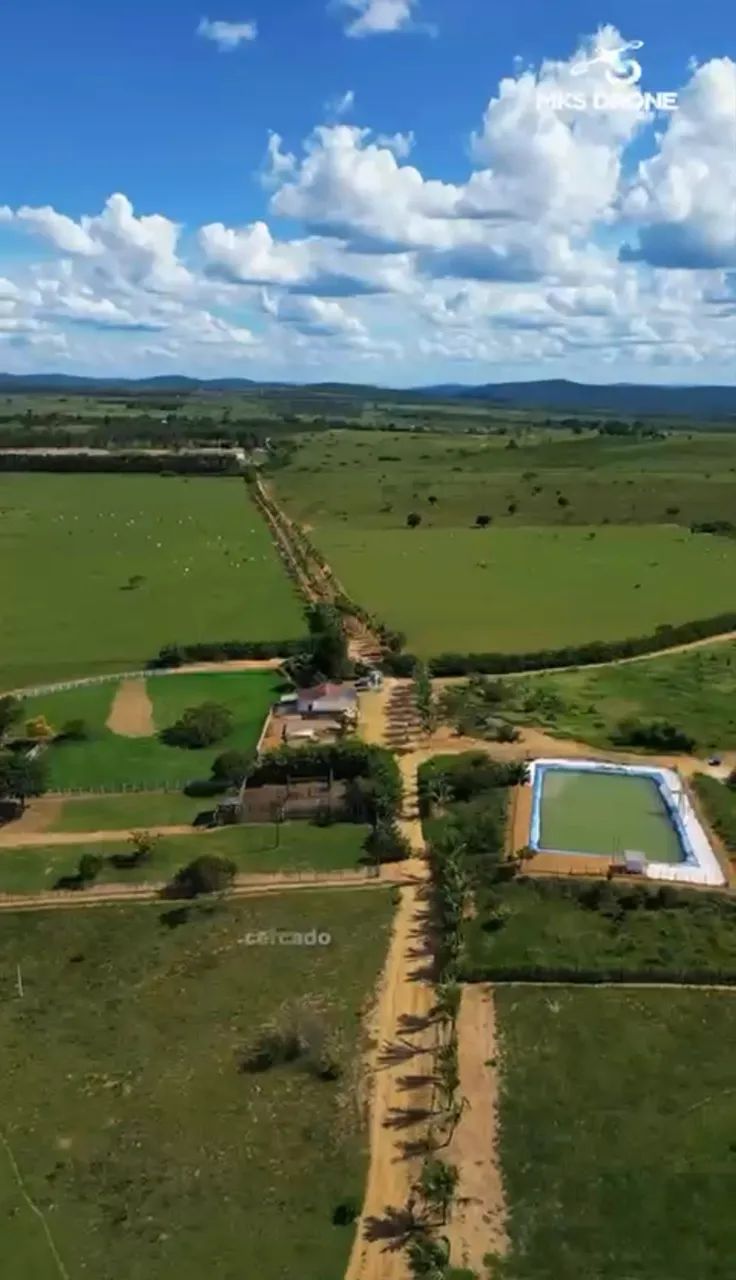 Fazenda 320 hectares (Documentada) toda no pasto e plana 