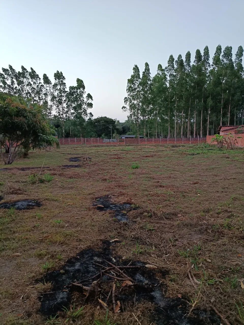 Vendo Sítio em Bacabeira - Foto 5