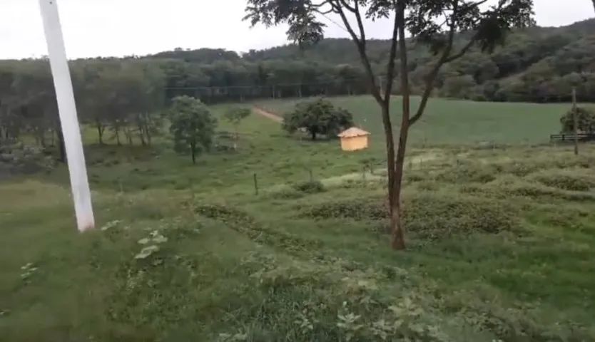 Pitangui/MG - Fazenda 67ha - Foto 5