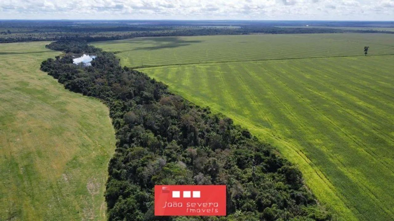Fazenda para Venda em Ribeirão Cascalheira - Foto 3