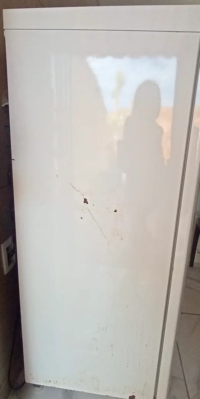 Freezer vertical usado 