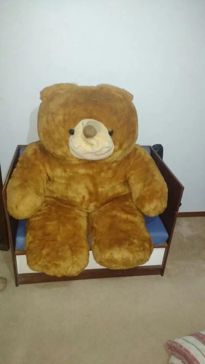 Urso marrom gigante - Foto 2
