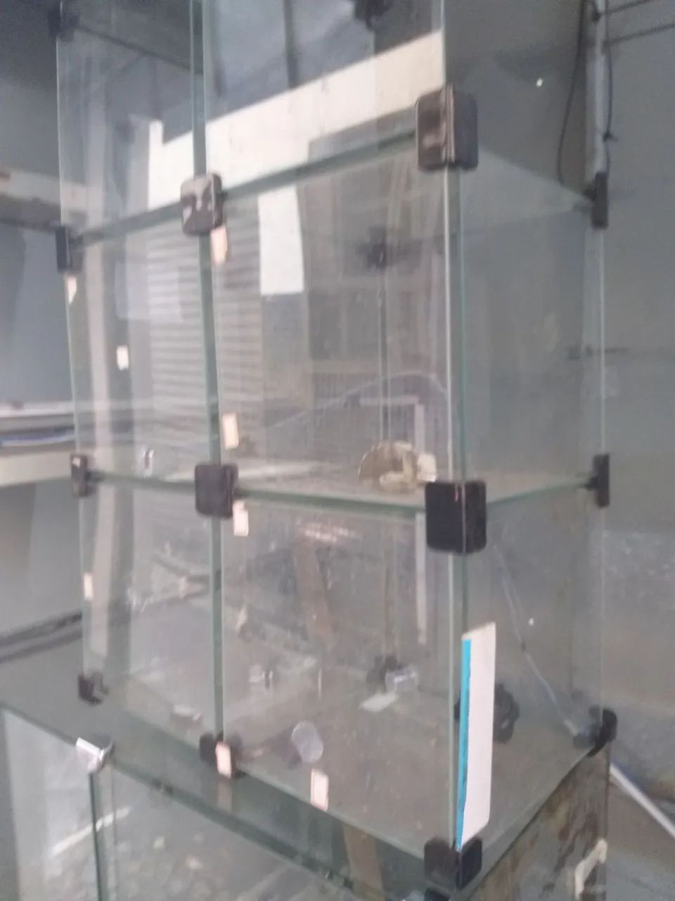 VITRINES 